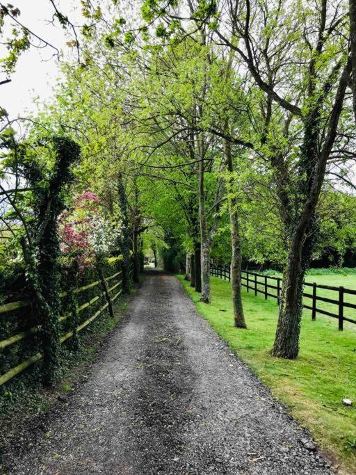 Northdown Lodge - Stunning Property On The Kent Northdowns Hollingbourne Eksteriør billede